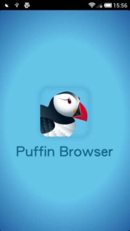 puffin下载最新版截图