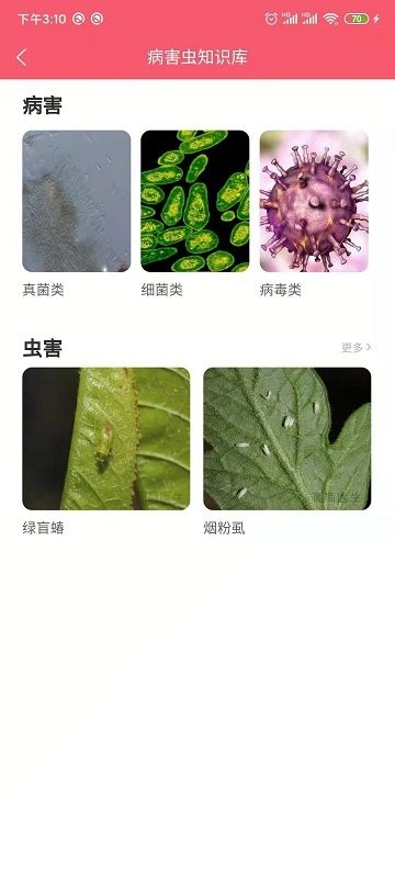 樱桃医生app下载安装最新版截图