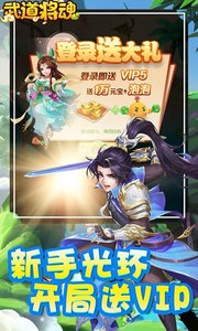 武道将魂最新版本下载安装截图