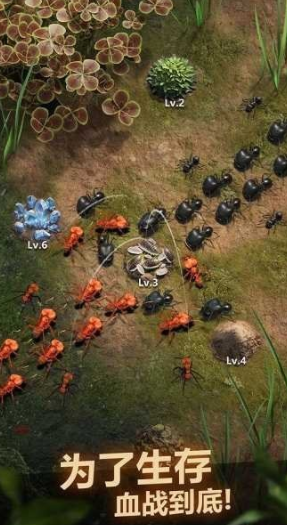 小小蚁国辅助修改器内置版