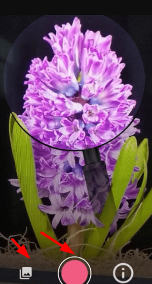 拍照识花软件下载