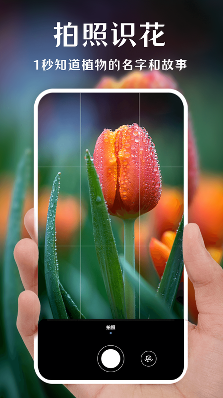 拍照识花免费下载截图