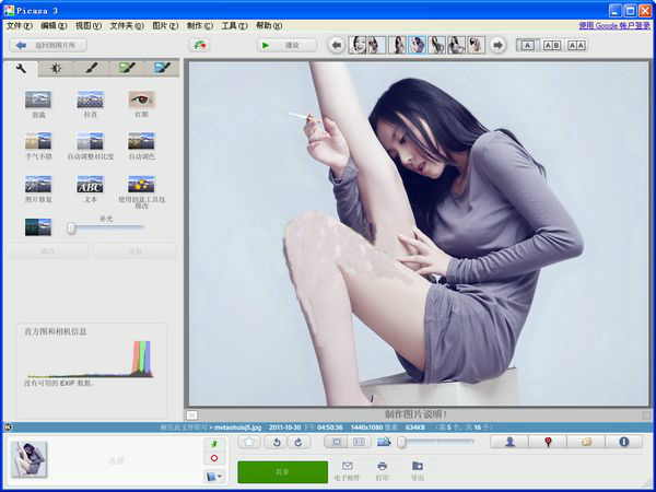 Google Picasa 中文版截图