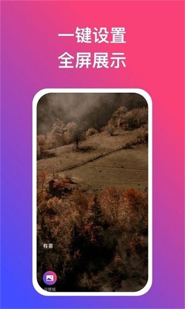 炫动壁纸app无广告绿色版截图