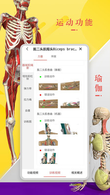 3Dbody解剖app截图