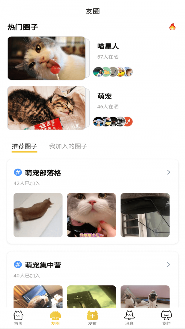 友貓app最新純凈版截圖