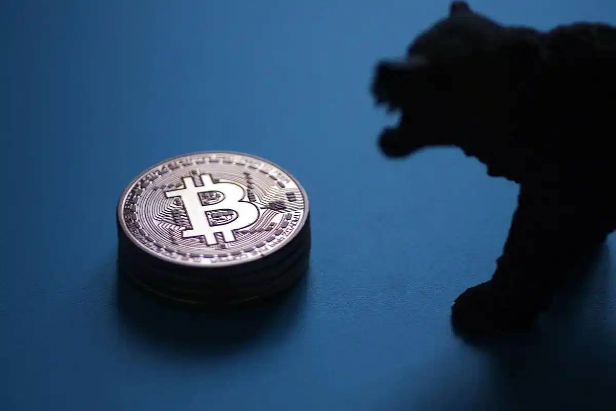 1741844782138374.jpg 94cad1c8a786c917089001b525b682c439c757c6.jpeg@f_auto.jpg