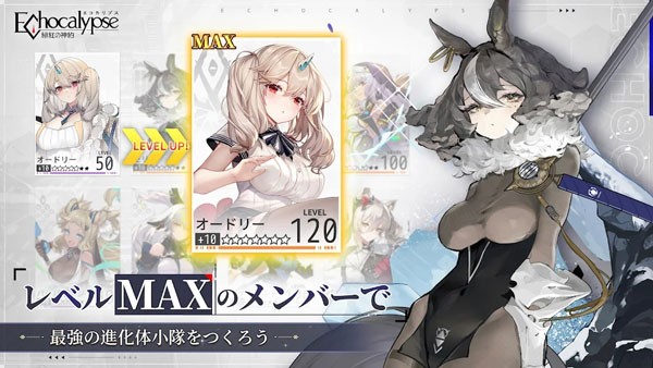 22105908p4exzuis.jpg