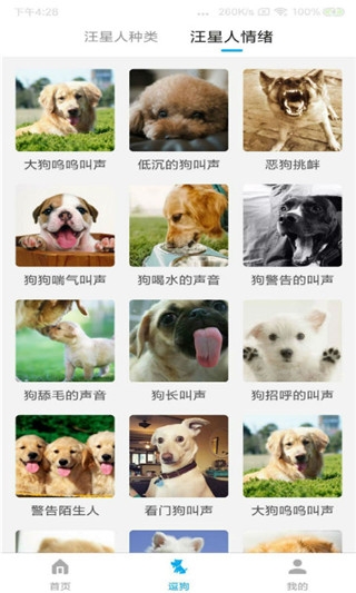 動物翻譯器下載免費版截圖