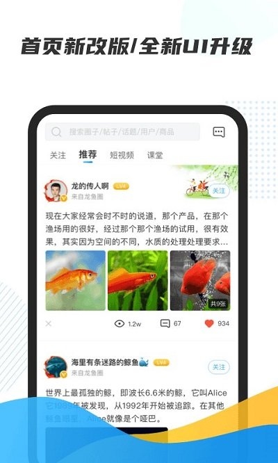 龙巅app最新版截图