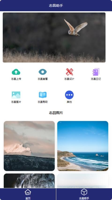 志昌助手手机版app2025下载