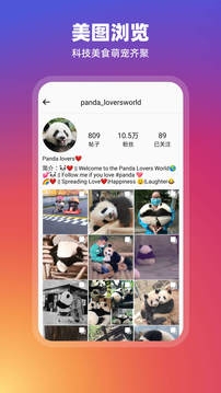 Instagram官方版下载最新版本