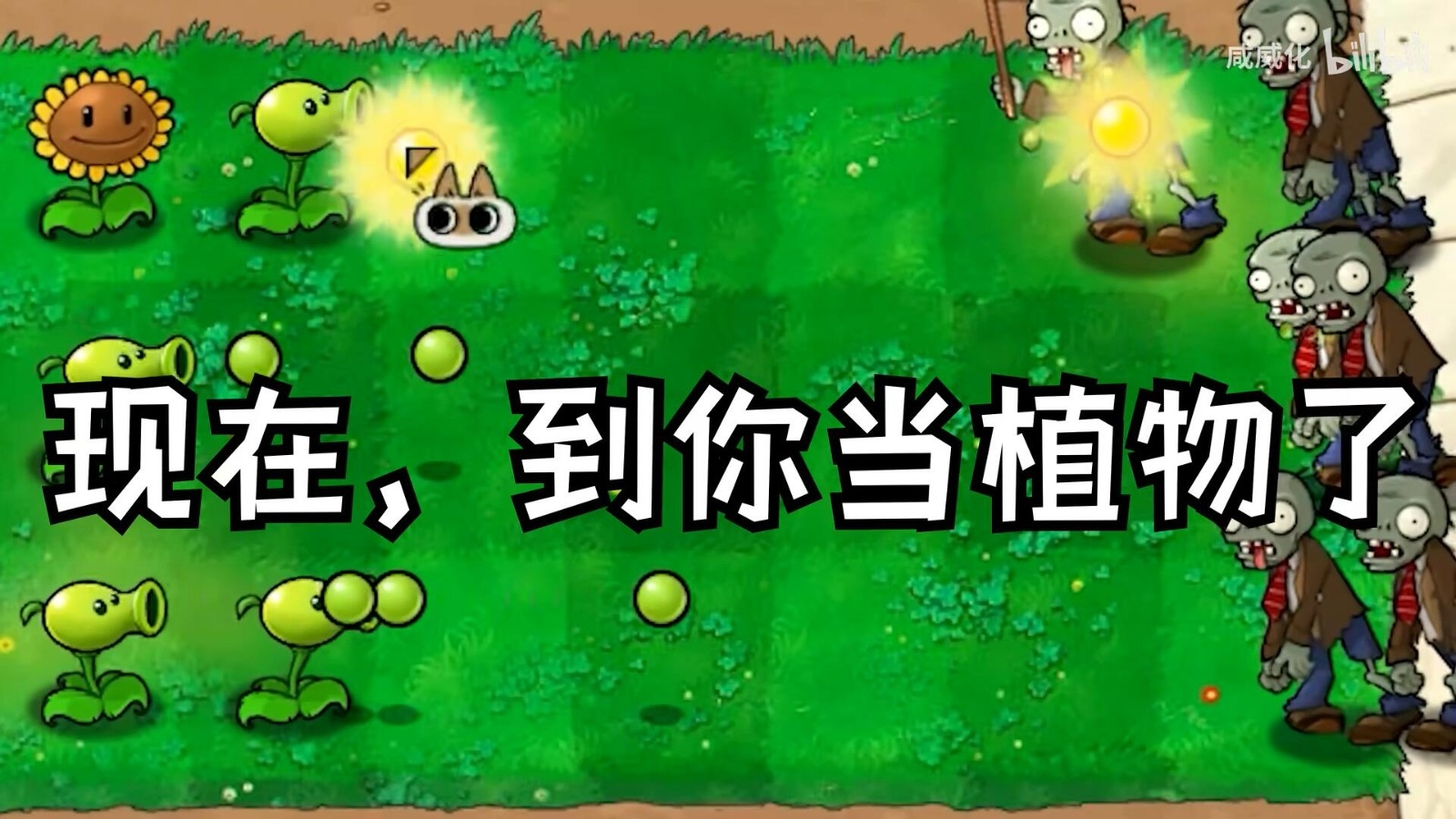 植物大战僵尸繁琐版下载安装截图