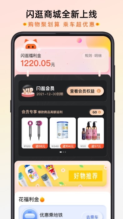 智惠行刷脸官方版下载截图