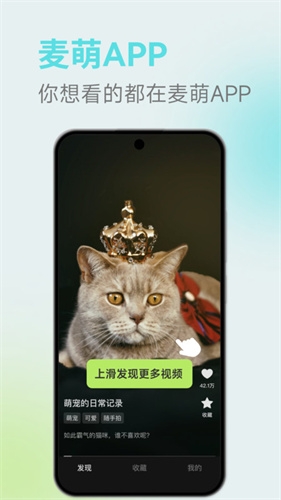 麦萌短剧最新版下载截图