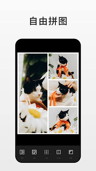 Fotor图片编辑中文免费版截图