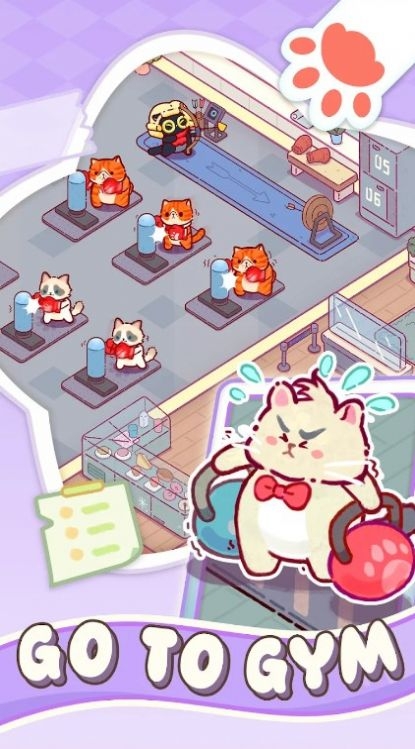 猫咪健身房最新版截图