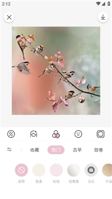 日杂相机官方版下载截图