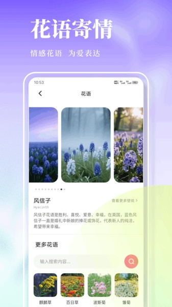 风信子笔记app下载截图