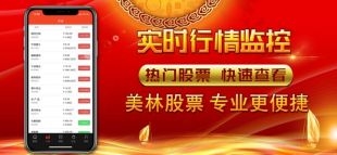 美林股票配资app下载