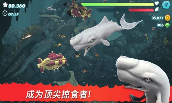 饑餓大白鯊游戲截圖