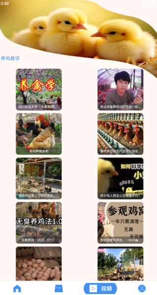 养鸡宝官方正版下载