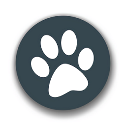 兽音译者下载app