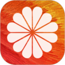 透明动态壁纸下载安装免费