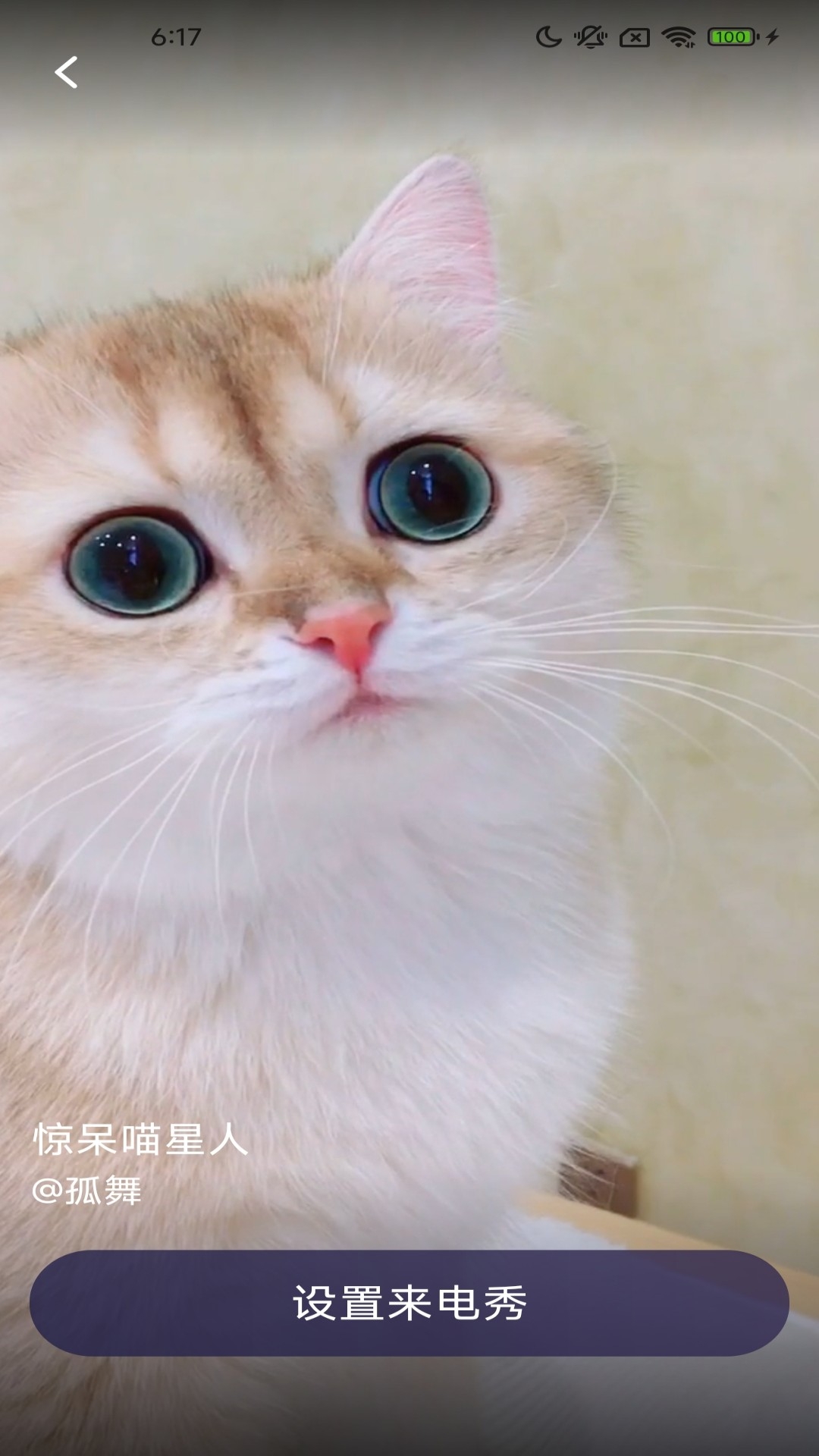 卡皮来电皮肤软件